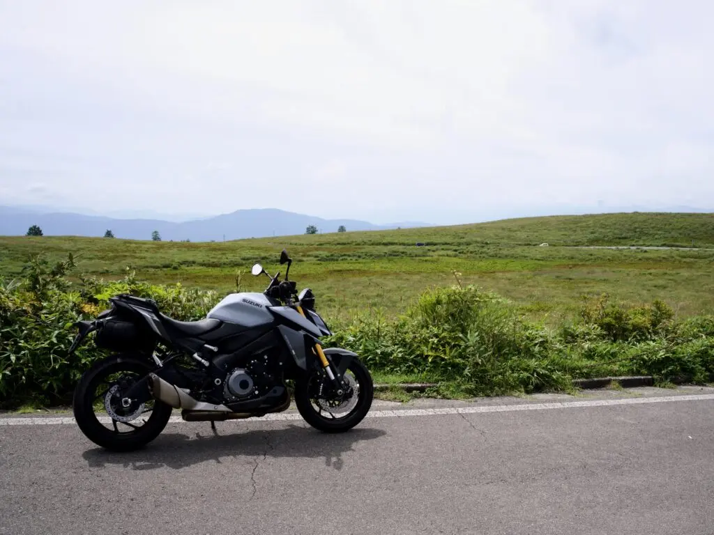 mszkmoto blog image