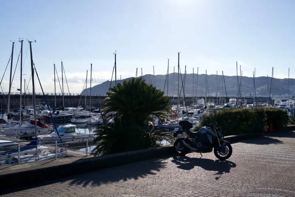 mszkmoto blog image