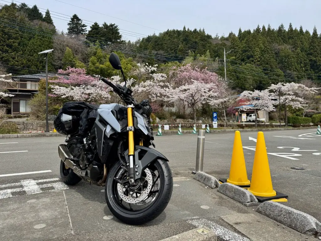 mszkmoto blog image