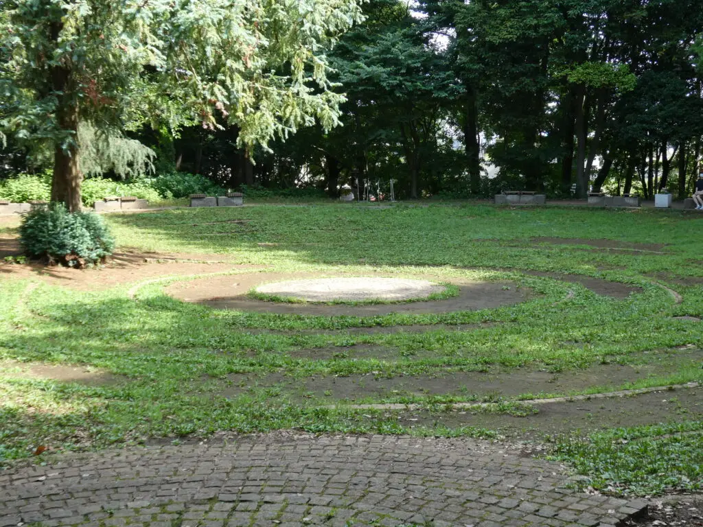 mszkmoto blog image