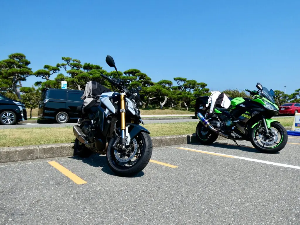 mszkmoto blog image