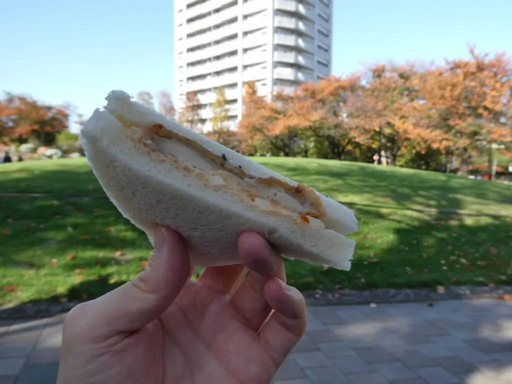 mszkmoto blog image