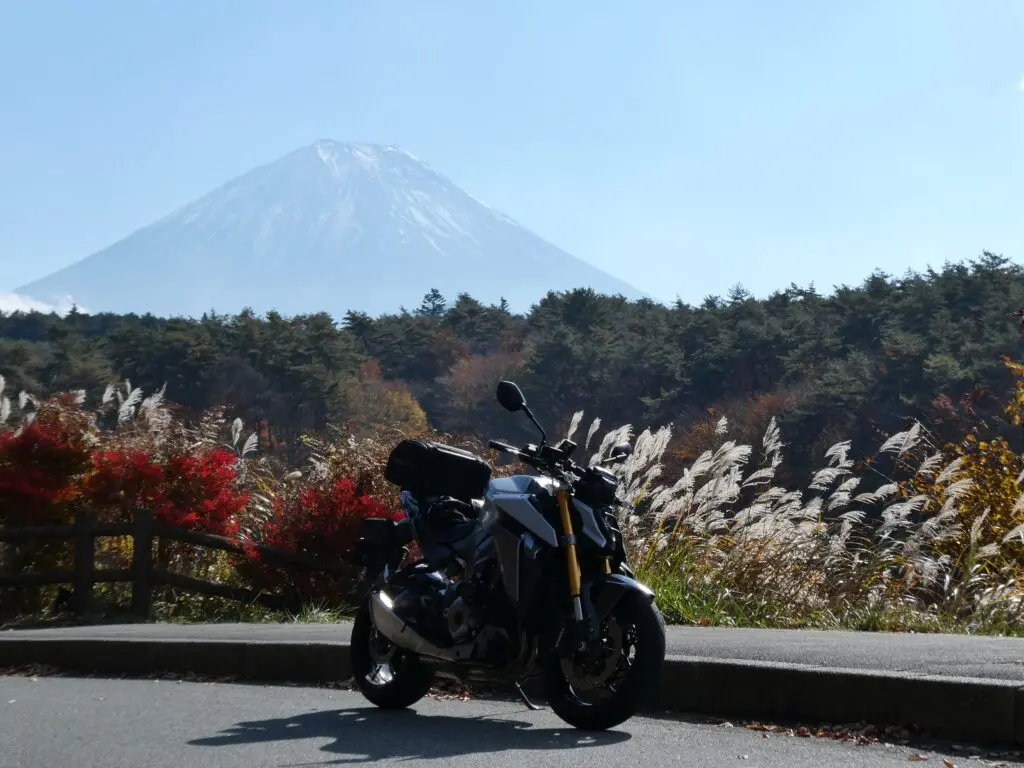 mszkmoto blog image