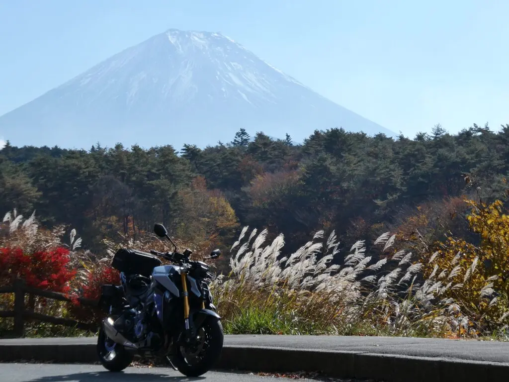mszkmoto blog image