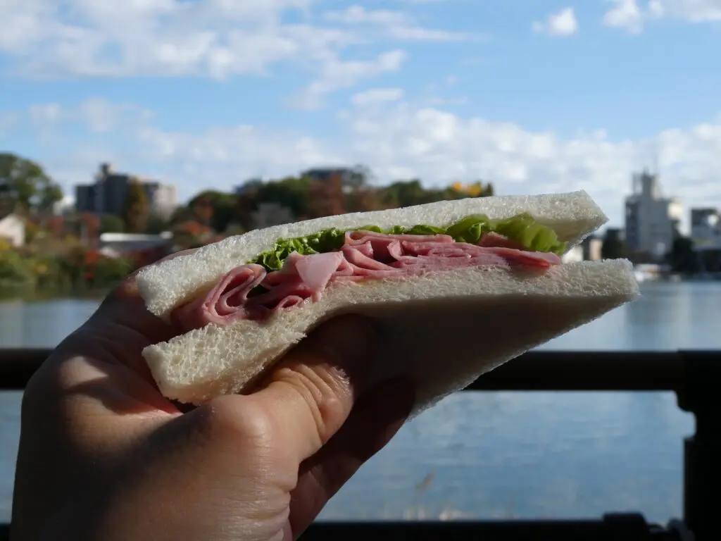 mszkmoto blog image