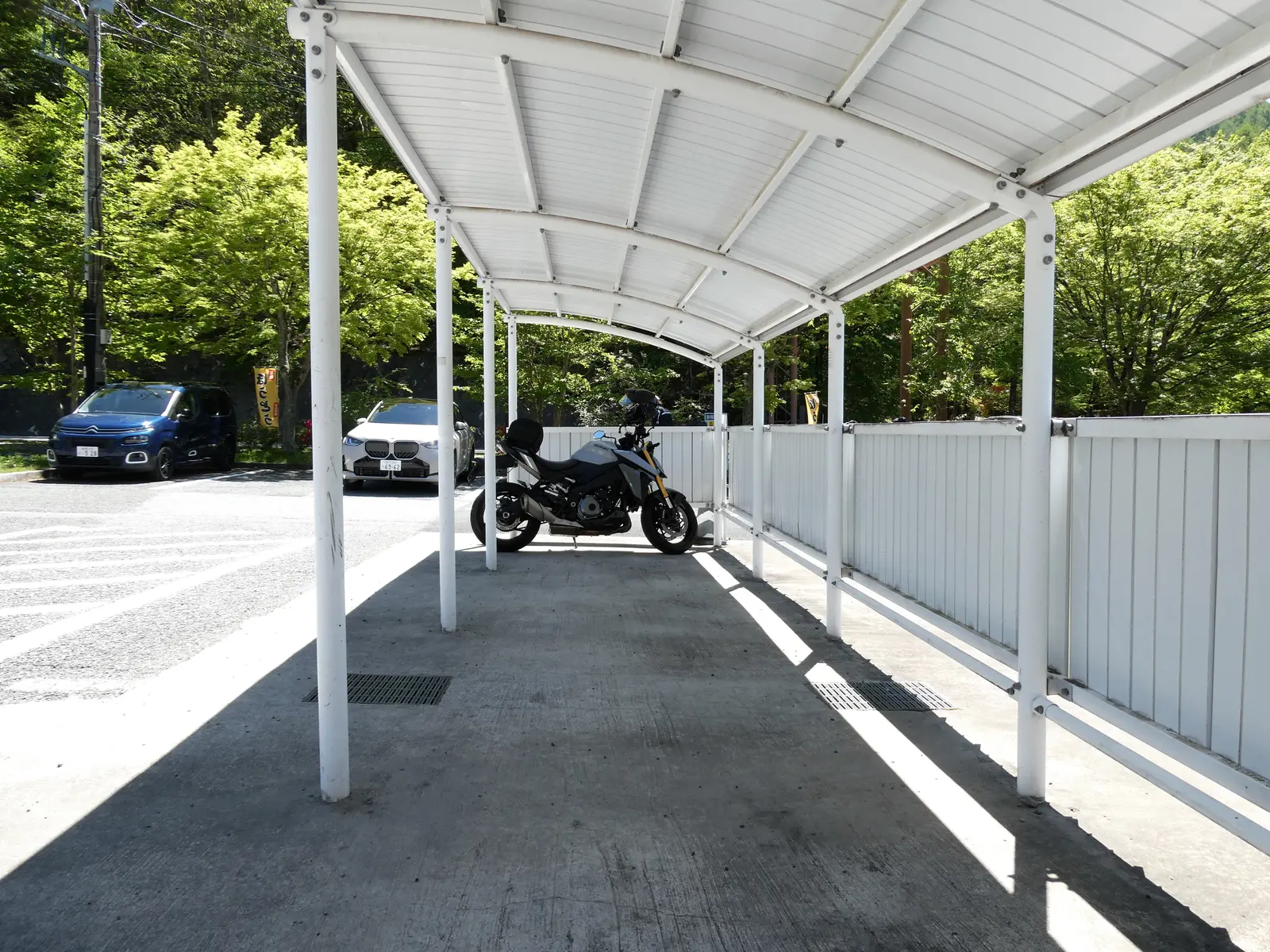 mszkmoto blog image