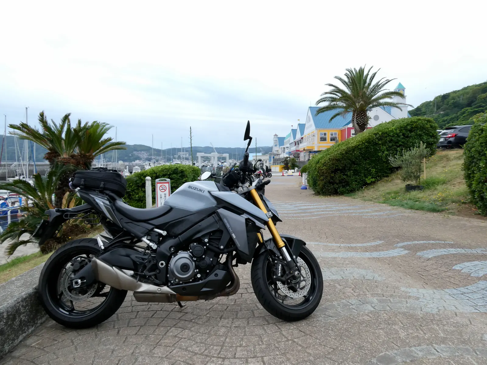mszkmoto blog image