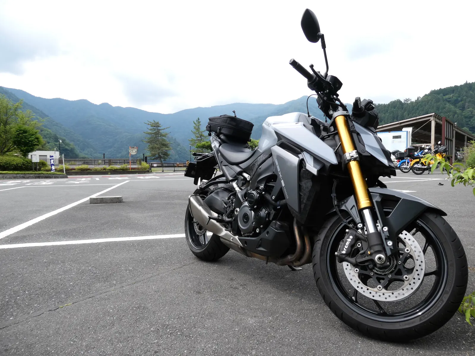 mszkmoto blog image